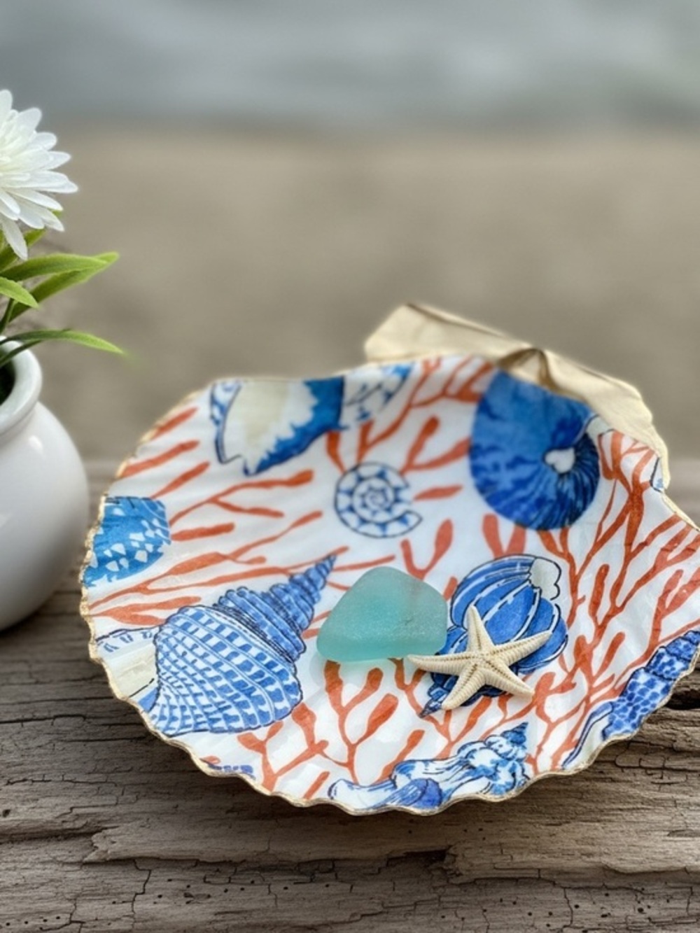 Blue and Orange Coral Seashell Trinket Dish Coastal Decor